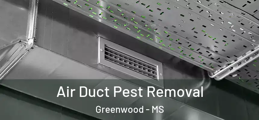  Air Duct Pest Removal Greenwood - MS