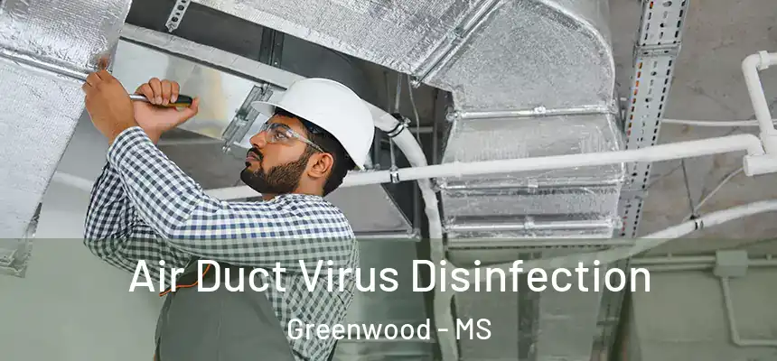  Air Duct Virus Disinfection Greenwood - MS