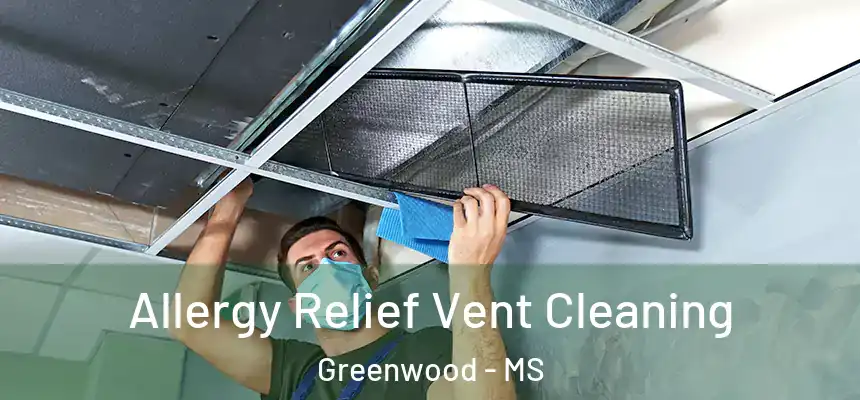  Allergy Relief Vent Cleaning Greenwood - MS