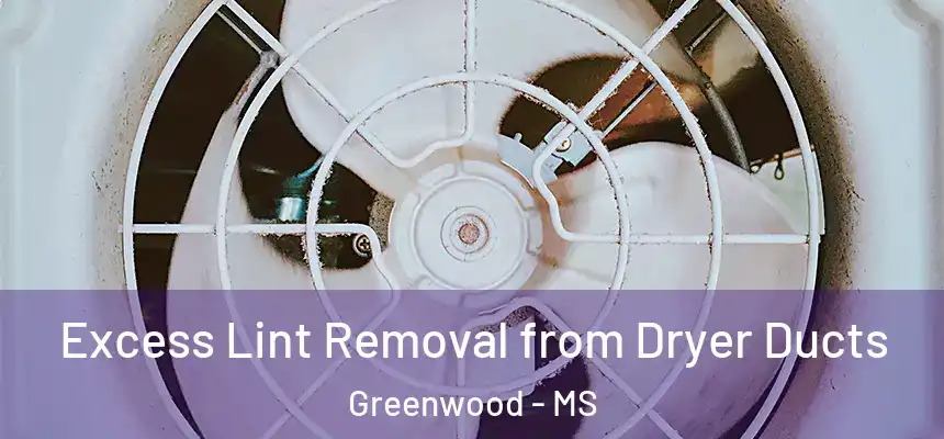  Excess Lint Removal from Dryer Ducts Greenwood - MS