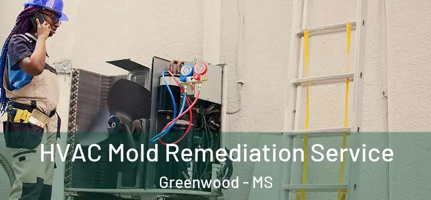 HVAC Mold Remediation Service Greenwood - MS