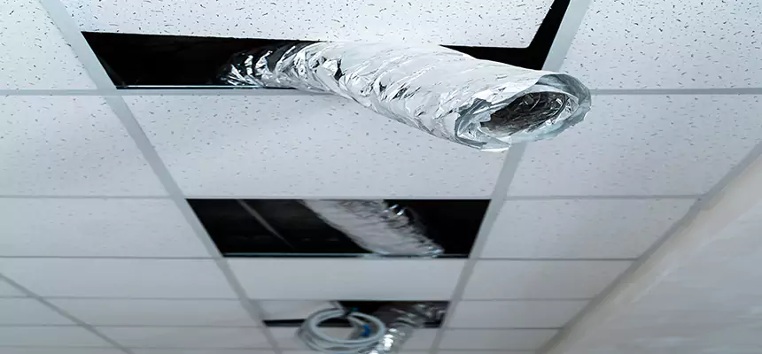 Our Air Duct Pet Hair Removal Services in Greenwood, MS