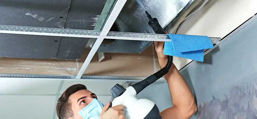 Our Air Duct Rodent Removal Services in Greenwood, MS
