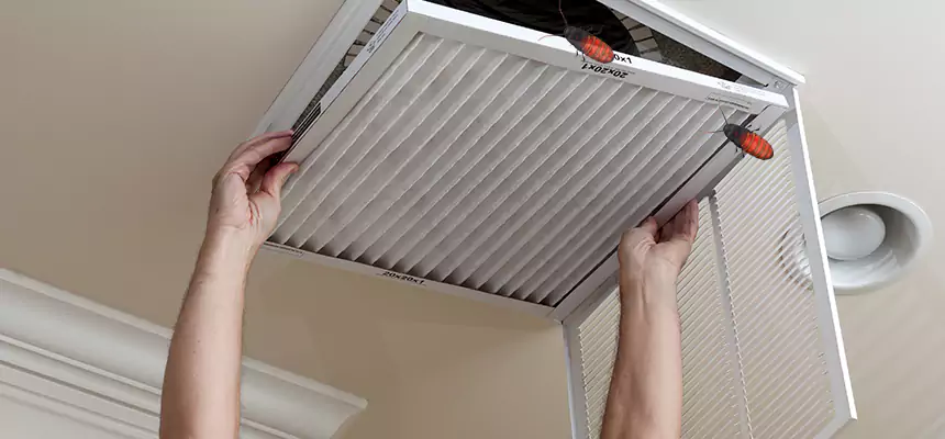Our Insect Removal from Air Ducts Services in Greenwood, MS
