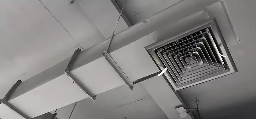 Our Rodent Droppings In Vents Services in Greenwood, MS