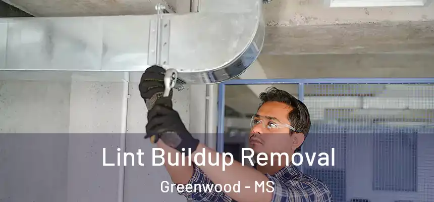  Lint Buildup Removal Greenwood - MS