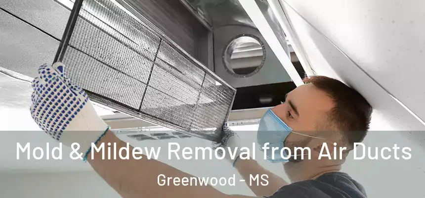  Mold & Mildew Removal from Air Ducts Greenwood - MS