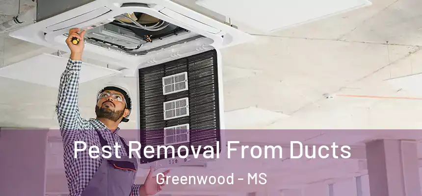  Pest Removal From Ducts Greenwood - MS