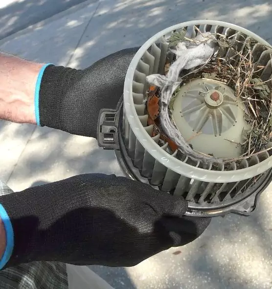 About Air Duct Rat Removal in Greenwood, MS