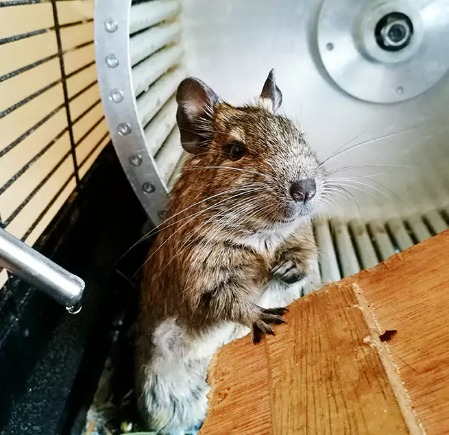 Why Homeowners & Businesses Trust Us Greenwood, MS?