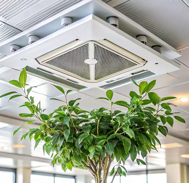 Why Homeowners & Businesses Trust Us in Greenwood, MS?